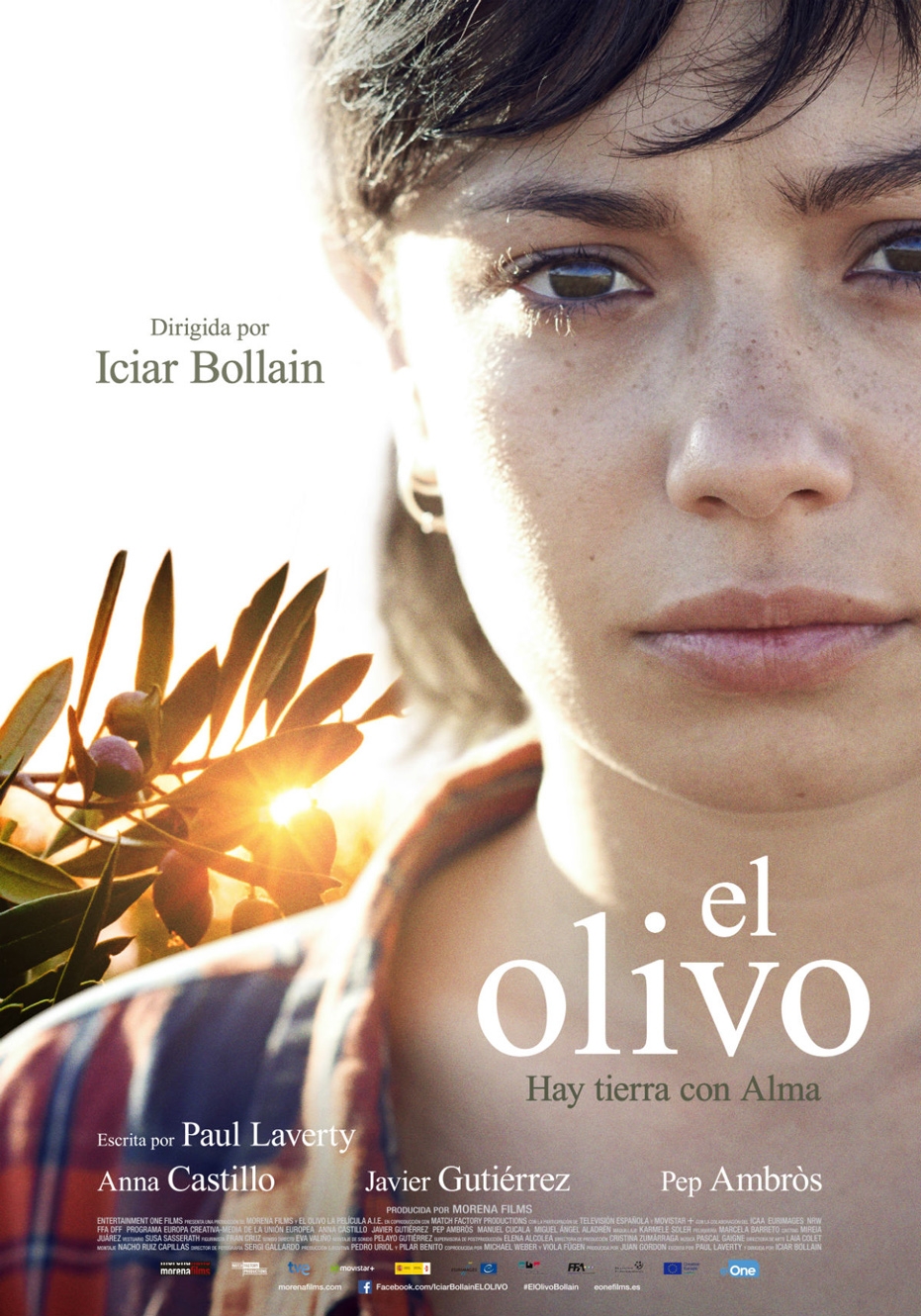 Ciclo de Cine Español: proyección de 'El olivo', de Icíar Bollaín