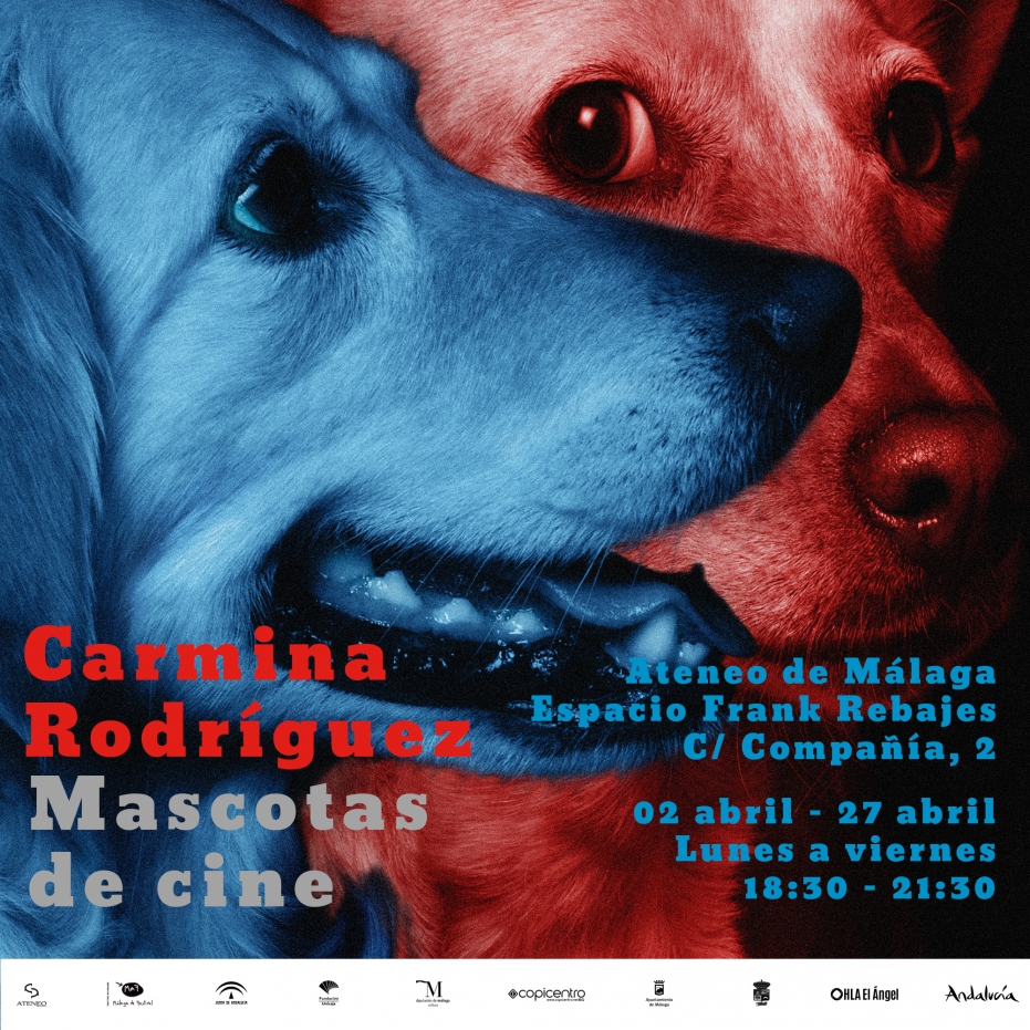 Exposición fotográfica 'Mascotas de cine', de Carmina Rodríguez
