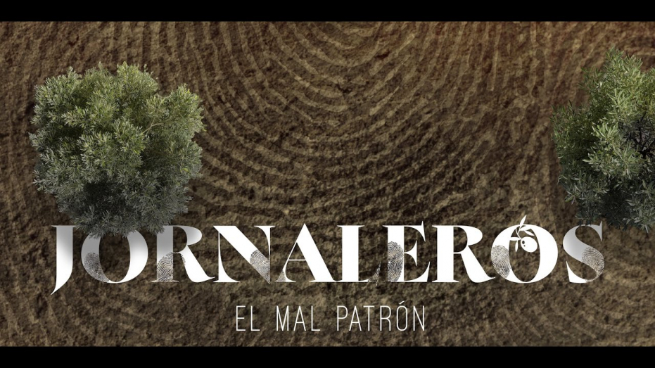 XIII Semana de Cine de Derechos Humanos de Amnistía Internacional. Tema: Migración.  Proyección de ‘Jornaleros. El mal patrón', de Sergio Rodrigo