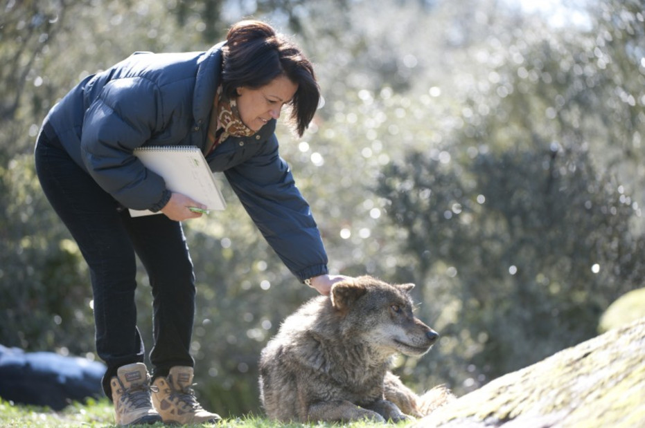 XIII Semana de Cine de Derechos Humanos de Amnistía Internacional. Tema: Medio Ambiente. Proyección de ‘Doñana, de Carmen Rodríguez Rodríguez. Coloquio posterior XIII Semana de Cine de Derechos Humanos de Amnistía Internacional. Tema: Medio Ambiente. Proyección de ‘Doñana, de Carmen Rodríguez Rodríguez. Coloquio posterior