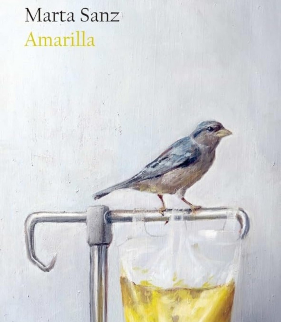 Coloquio con Marta Sanz sobre 'Amarilla'. Intervención artística a cargo de Marity Manzanera