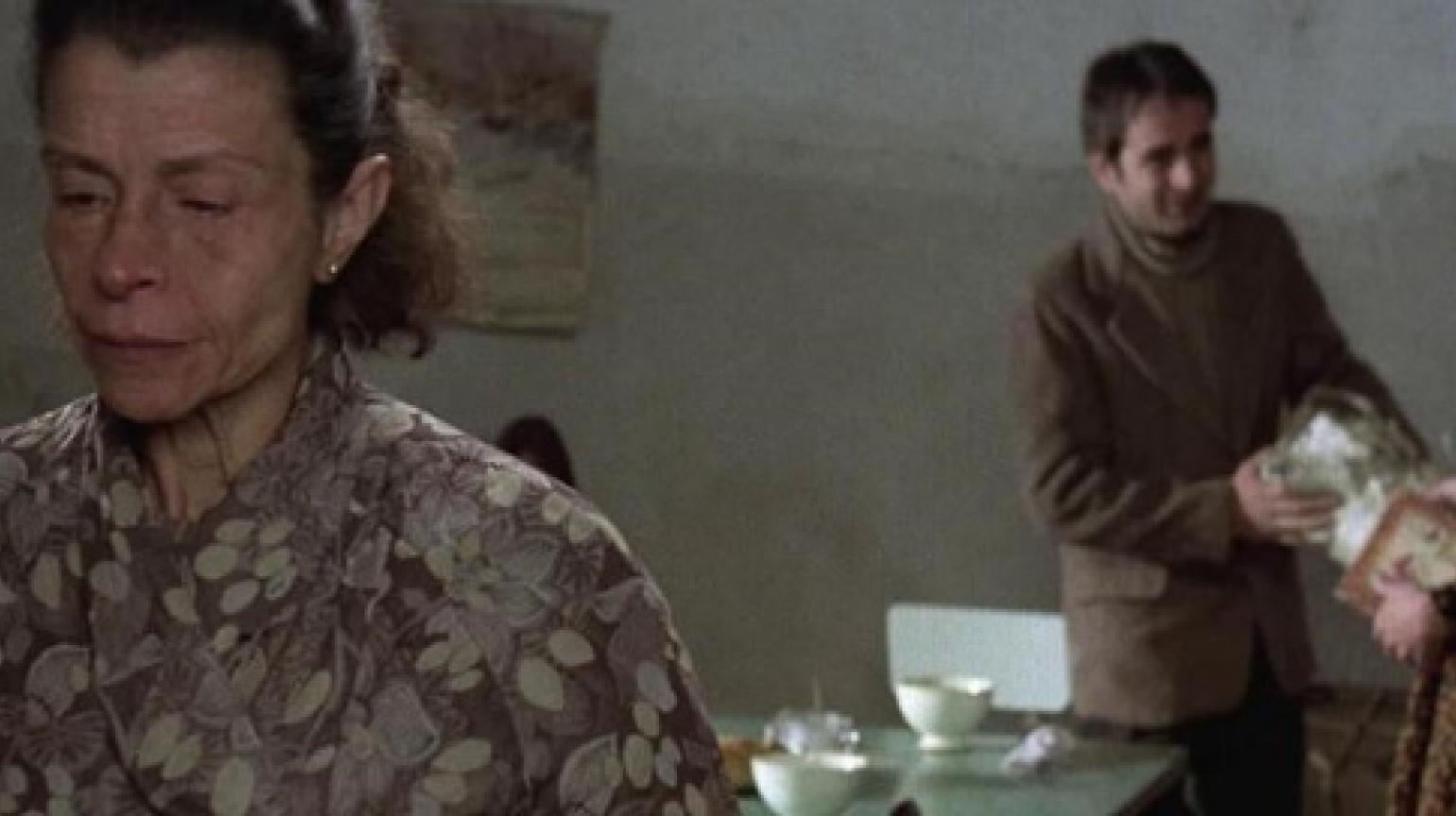 Furtivos | Festival de Málaga